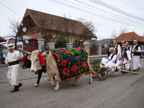 Foto Udatoriu 2010 Surdesti (c) eMaramures.ro